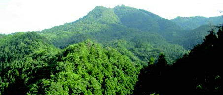 K1体育·(中国区)-十年品牌 值得信任